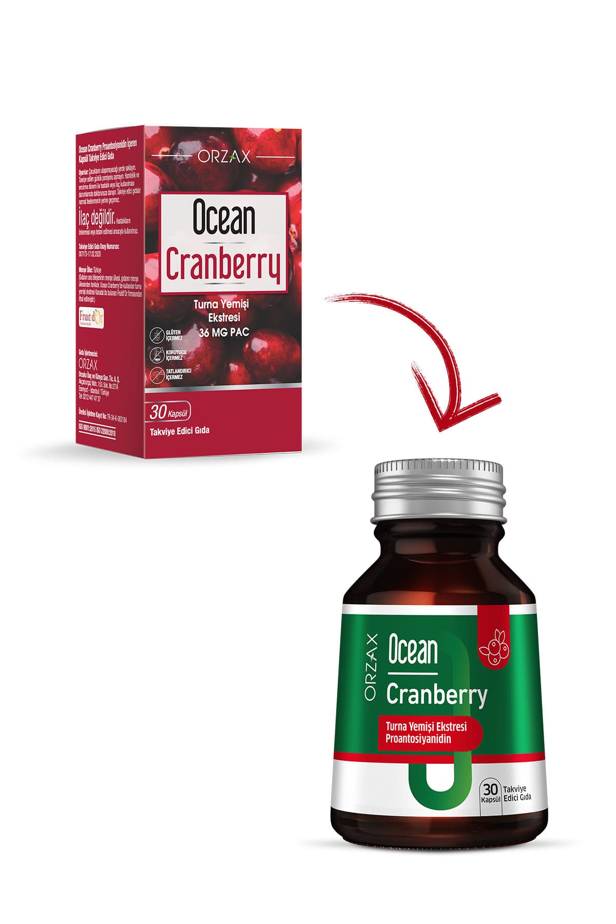 Cranberry - Turna Yemişi Ekstresi Proantosiyanidin (PAC) İçeren Takviye Edici Gıda- 30 Kapsül
