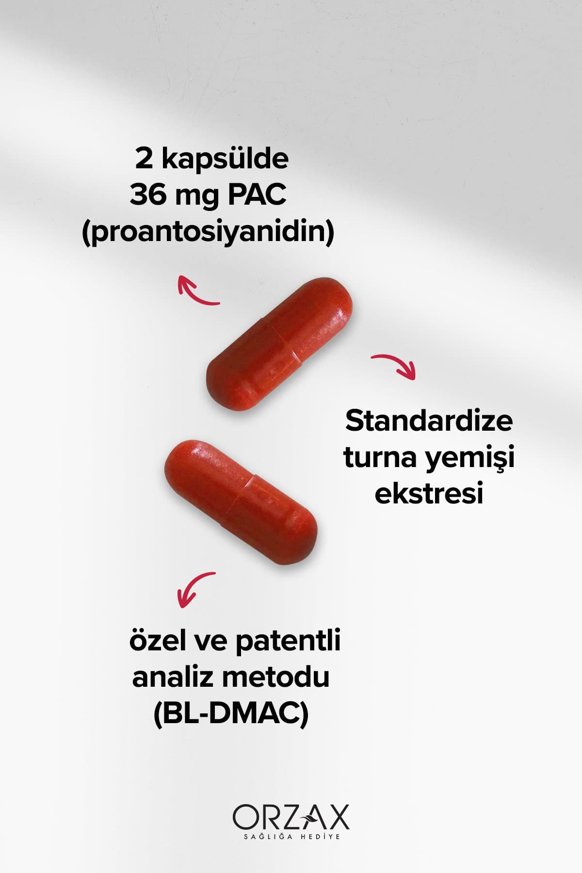 Cranberry - Turna Yemişi Ekstresi Proantosiyanidin (PAC) İçeren Takviye Edici Gıda- 30 Kapsül