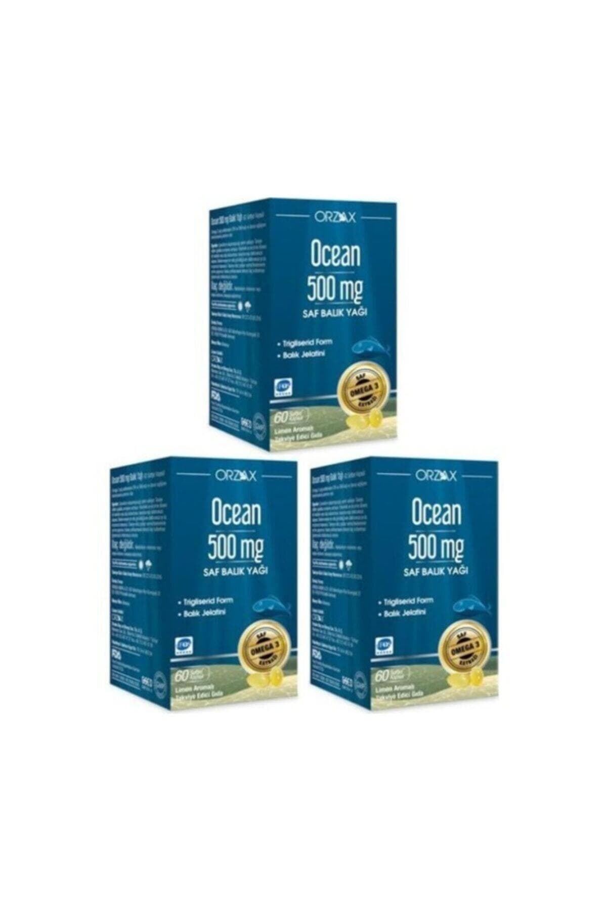 Balık Yağı 500mg 60 Kapsül 3 Adet