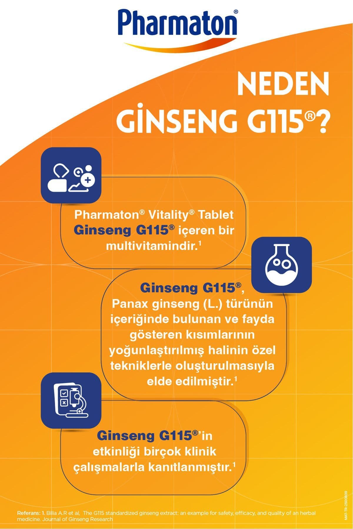 Vitality Ginseng G115 Multivitamin ve Mineral Desteği 30 Tablet x2 Adet